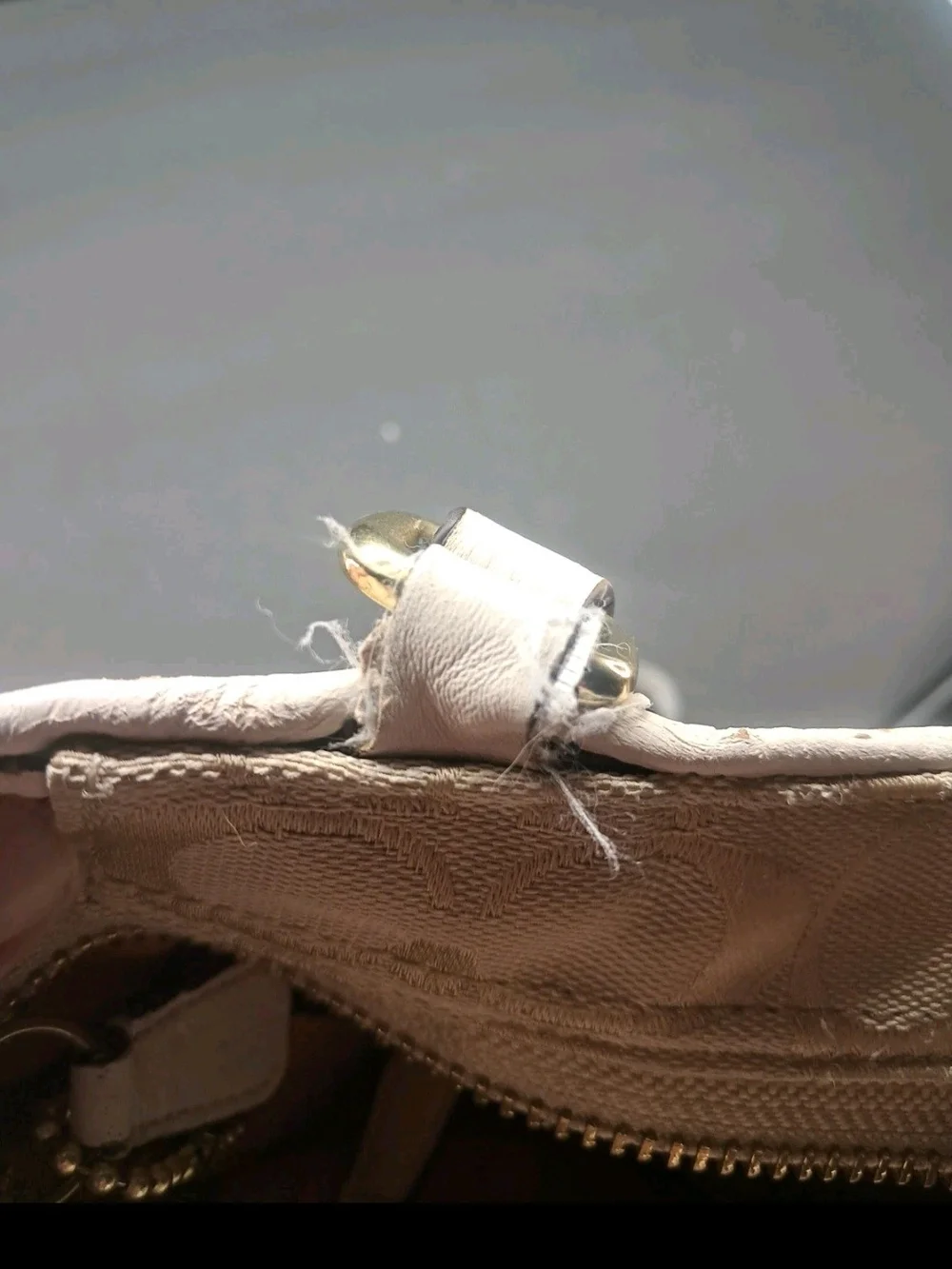 Coach Park Signature Carrie Tote Purse Handbag